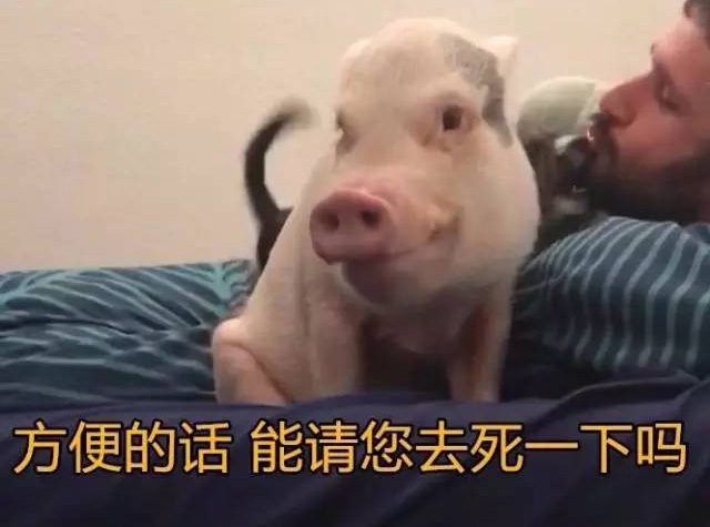 方便的话，我能请你去死一下吗