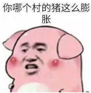 你是哪个村的猪？竟然这么膨胀