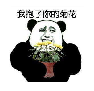 对不起，我抱了你的菊花