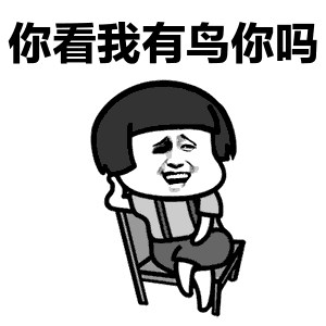 你看我有鸟你吗