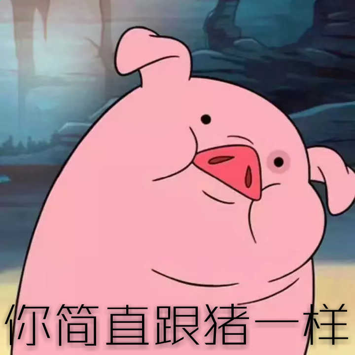 你简直跟猪一样