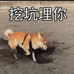 我要挖坑埋你