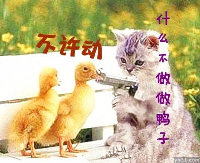 不许动，你们为什么要做鸭子