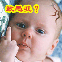 敢惹我，不想活了