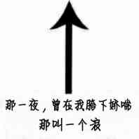 那一夜，曾在我胯下娇喘那叫一个浪