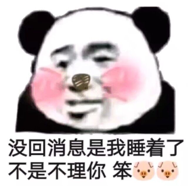 没回消息，是我睡着了不是不理你笨