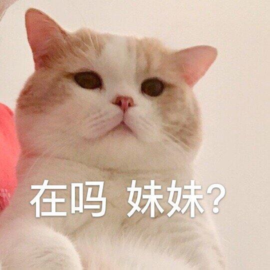 在吗？妹妹？