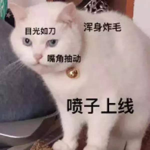 喷子上线