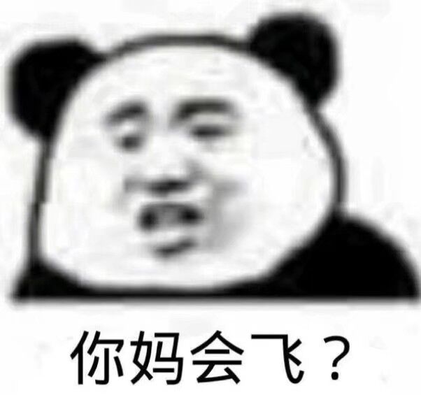 你妈会飞？