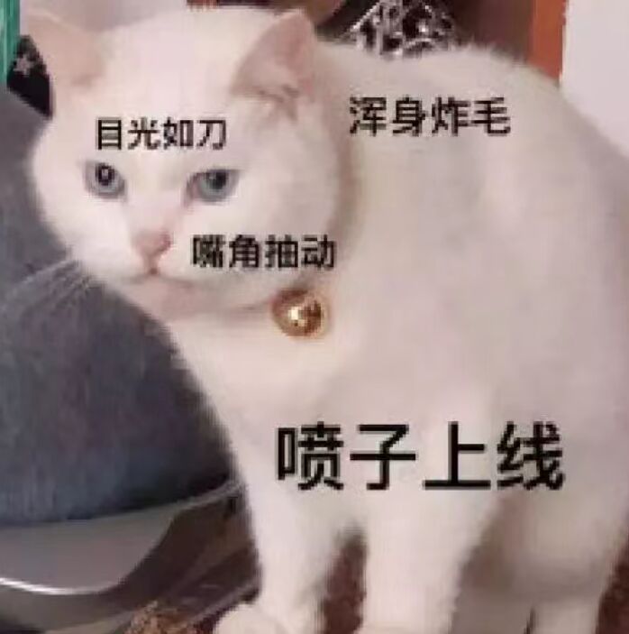 喷子上线