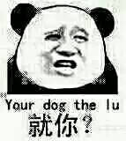 就你？