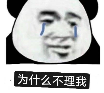 为什么不理我