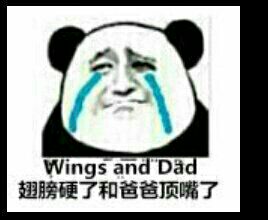 翅膀硬了和爸爸顶嘴了（wings and dad）