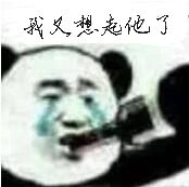 我又想起他了