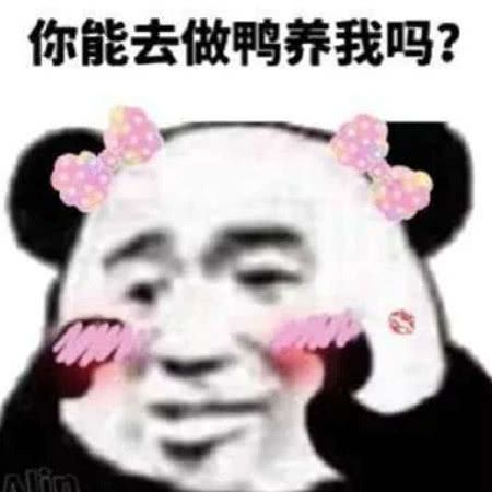 你能去做鸭养我吗？