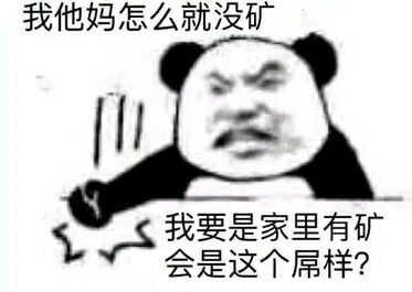 我他妈怎么就没矿，我要是家里有矿会是这个屁样？