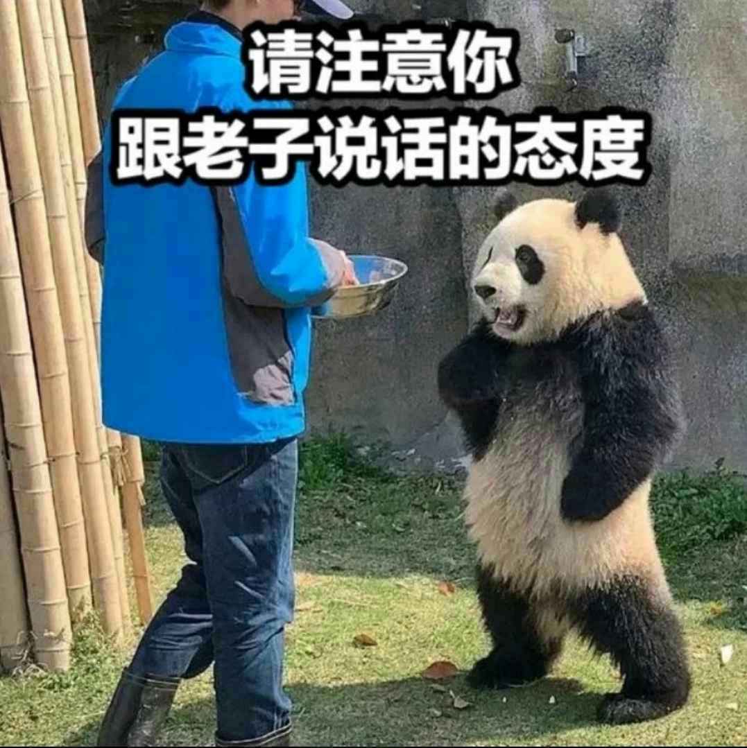 请注意你跟老子说话的态度