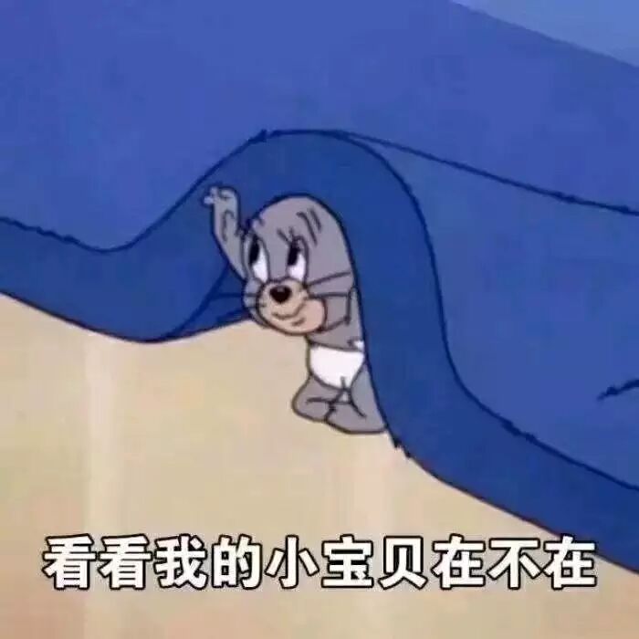 看看我的小宝贝在不在