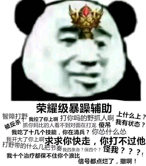 荣耀级暴躁辅助