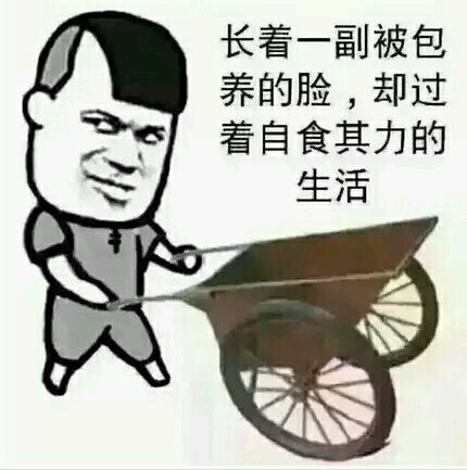 我长着一副被包养的脸，却过着自食其力的生活