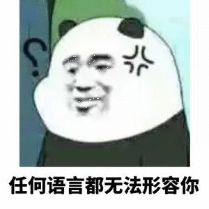 任何语言都无法形容你