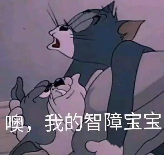 噢，我的智障宝宝