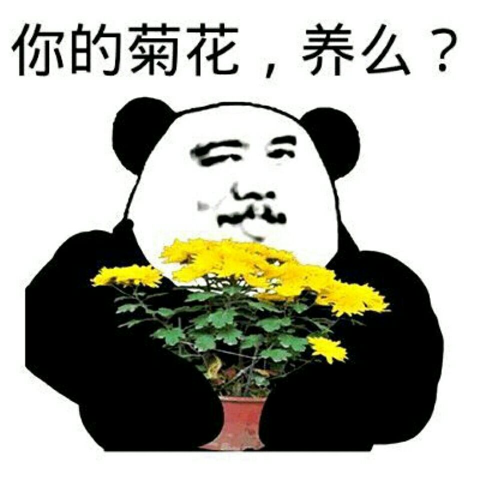 你的菊花，养么？