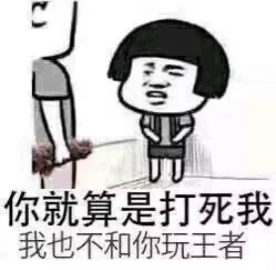 你就算是打死我我也不和你玩王者