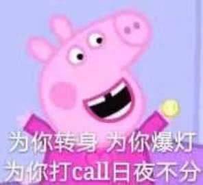 为你转身为你爆灯，为你打call日夜不分