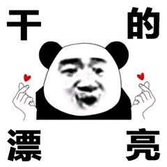 干的漂亮