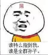 屌谁特么指到我，谁是全群孙子。