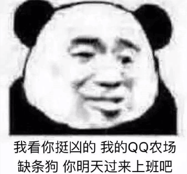 我看你挺凶的，我的QQ农场缺条狗，你明天过来上班吧