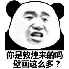 你是敦煌来的吗？壁画这么多？