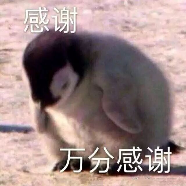 感谢万分感谢