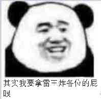 其实我要拿雷干炸各位的屁眼