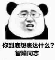 你到底想表达什么？智障同志