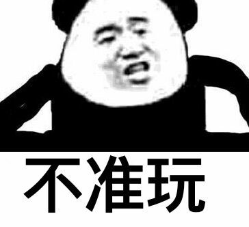 不准玩