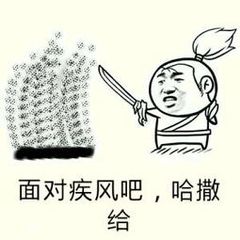 面对疾风吧，哈撒给