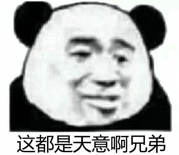 这都是天意啊兄弟