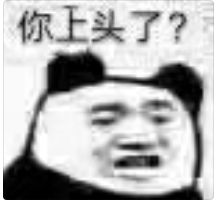 你上头了？