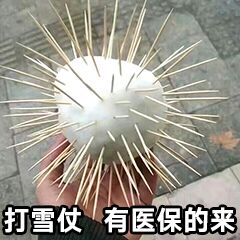 打雪仗有医保的来