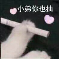 小弟你也抽