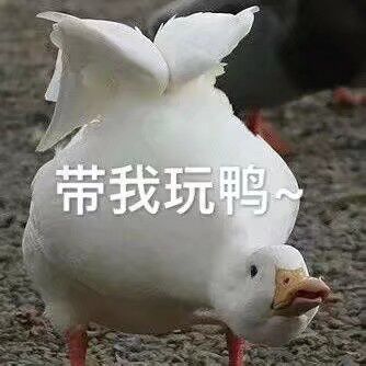 带我玩鸭