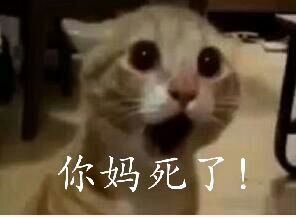 你妈死了！