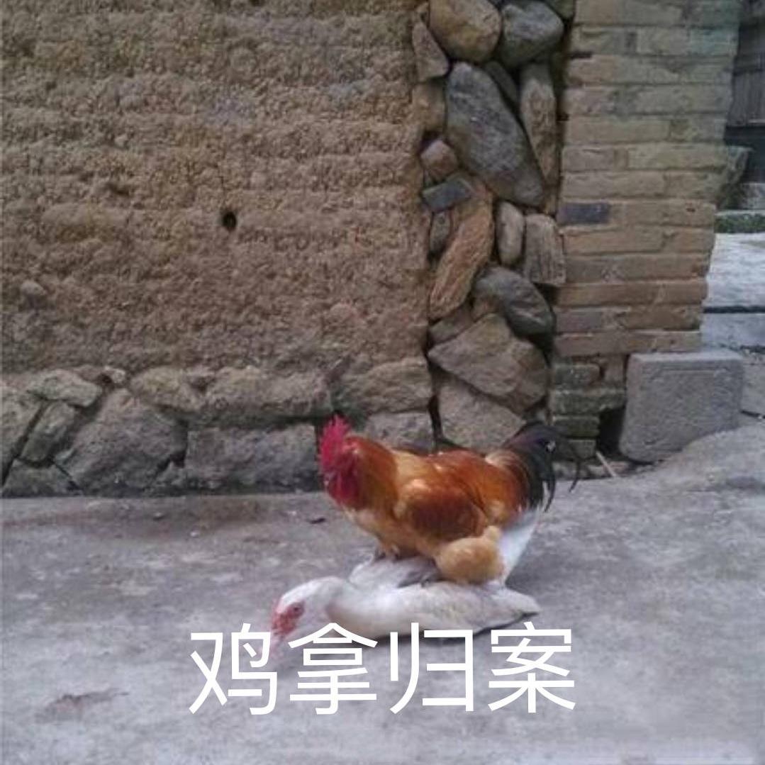 鸡拿归案