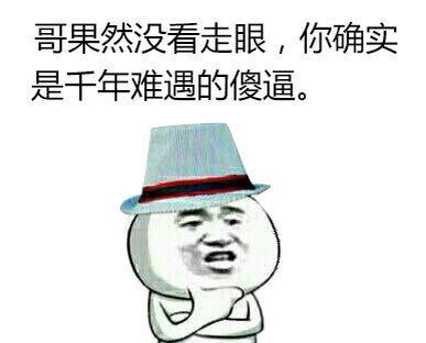 哥果然没看走眼，你确实是千年难遇的傻逼。