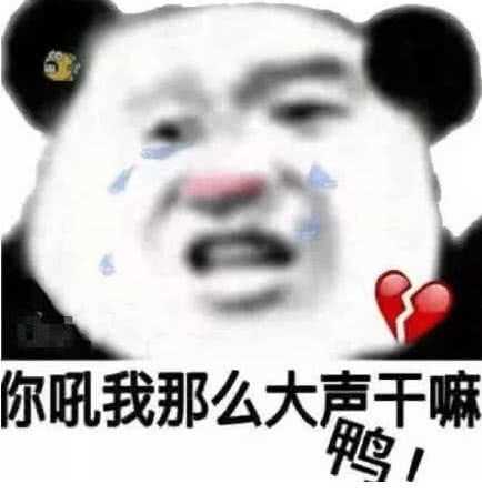 你吼我那么大声干嘛