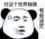 对这个世界稍微有些迷