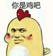 你是鸡吧