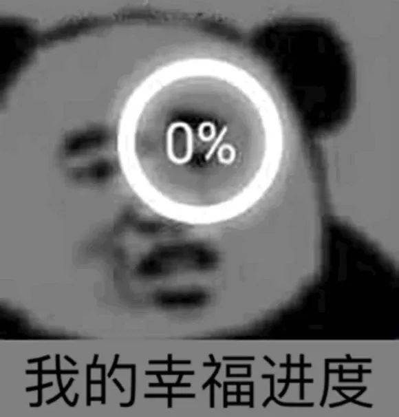 0%我的幸福进度